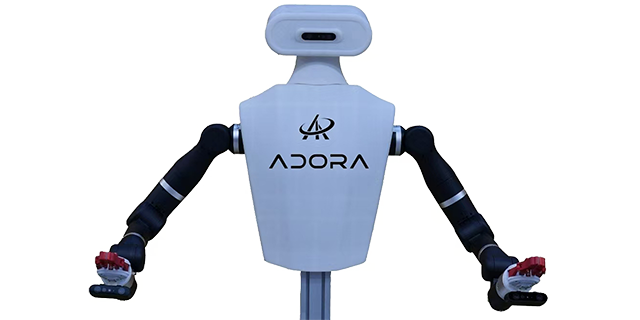 adora1 Mini Feature 2