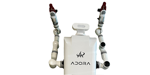 adora2 Max Feature 2